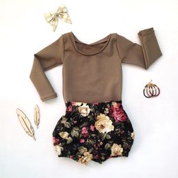 Meisjeskleding 2018 Nieuwe Lente Zomer Kinderkleding Set Lange Mouw T-shirt Tops + Floral Shorts Broek 2 Stks Meisjes Outfits Set Clothing 2-7T