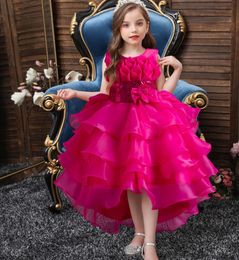 Girls 'Jurken 2024 Flower Child Train Jurk Organza Cake Princess Rok Casual Dress Wedding Pompadour Jurk