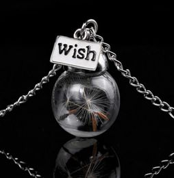 Glazen fles ketting Natuurlijke paardenbloem zaad in glas lange ketting Make A Wish Glass Bead Orb verzilverde ketting sieraden G1259605001