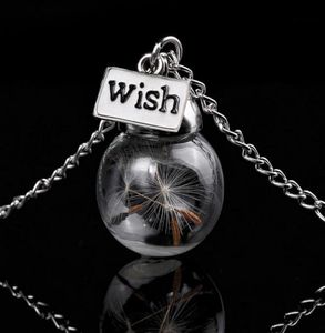 Collier de bouteille en verre Graine de pissenlit naturelle en verre long collier Make A Wish Glass Bead Orb argent plaqué Collier bijoux G1259605001