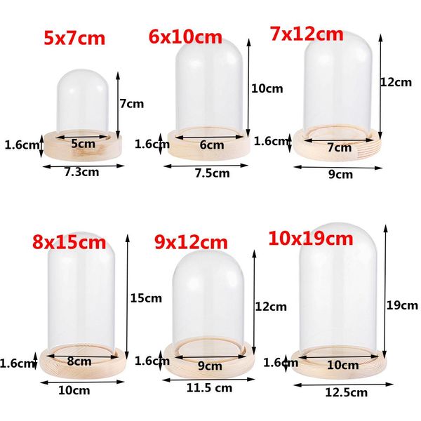 Bouteille de support de support en verre Cloche en verre avec boîte à poussière acrylique à base de base en bois Boîte de fleurs immortelles