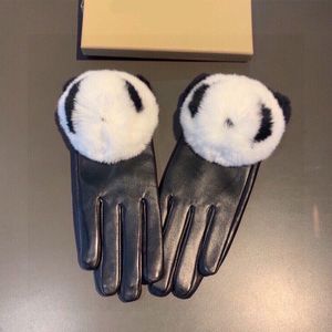 De nieuwe hoogwaardige warme plus fluwelen handschoenen van de handschoenontwerper zijn comfortabele, zachte en schattige handschoenen met touchscreen, geschikt voor dagelijks gebruik (B0042)