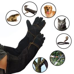 Handschoen Bijtvaste handschoenen voor huisdieren Bijtvaste antikras lederen beschermende handschoenen voor hond Kat Vogel Slang Hagedis Behandelingstraining