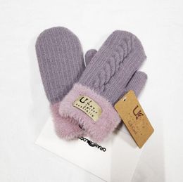Handschoenen Designer Herfst en Winter Warm Pluche Winddicht Vijfvingerwanten Bont geïntegreerd Plus Fluweel Suède Antislip