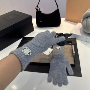 Gants de créateur gants de luxe designer couleur unie lettre design gants chauds femmes cadeau de Noël tempérament style polyvalent très bon