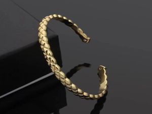 Gouden armband voor vrouwen mannen Diamant Bangle roestvrijstalen armband ontwerp sieraden vrouw liefde tennis charmes luxueuze ontwerpers JE2936787