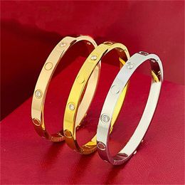 Gouden Bangle armband Love Gold Bracelet Designer 6mm Trend Bangels Charm Diamond Firendship Artsbanden Roestvrij staal Silver Bangle Luxueuze sieraden