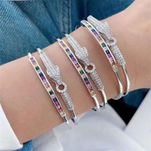 Femmes plaquées or à la mode réglable Rainty arc-en-ciel cubique zircone sier bracelet de bijoux de mode léopard