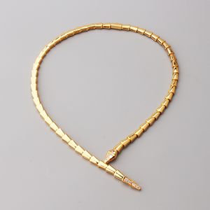 Colliers de luxe Sliver Gold Sliver Bidy Snake Pendants Set For Women Bracelet Diamond Luxury Designer Bijoux Party Mariage Mère Cadeaux Birthday