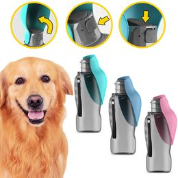 Golden Retriever Outdoor Portable Pet Water Bottle High Capacité pour les grands chiens Puppy Chat Voyage Bows Bows Bols