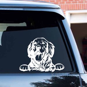 Gouden retriever vinyl sticker auto raam deur bumper sticker sticker hondenliefhebbers geschenken pet goldie paw sticker voor laptop decoratief