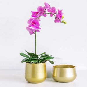 Pot de fleur créatif en fer forgé doré Style nordique métal plantes succulentes cour jardin fleur décoration 210712