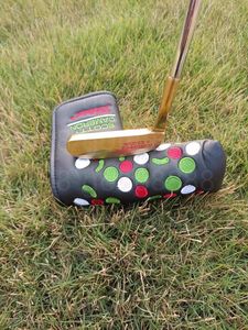 Clubs de golf NAPA Putters Golden Golf Putters Clubs de golf pour hommes en édition limitée Contactez-nous pour plus de photos