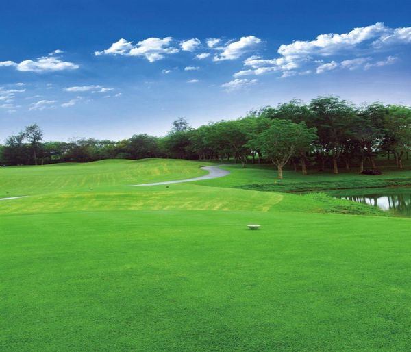 Campo de golf Po Fondo Césped verde Árboles Cielo azul Nube Naturaleza al aire libre Pografía escénica Telón de fondo Fondo de pantalla de cabina de estudio Vin7998363