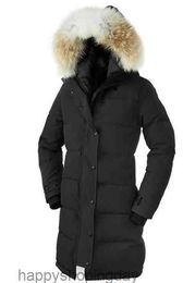 Ganso para baixo casaco feminino jaqueta de inverno real gola de pele de lobo com capuz ao ar livre casacos quentes e à prova de vento com boné removível senhoras parka Xs-3xlzf9u