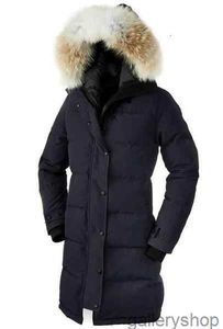 Ganzendons Jas Dames Winterjas Echte Wolf Bontkraag Capuchon Outdoor Warme en Winddichte Jassen met Afneembare Cap Dames Parka Xs-3xl9tsz