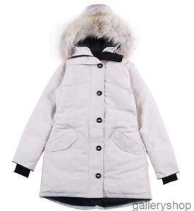 Ganzendonsjas Dames Winterjas Echte Wolf Bontkraag Capuchon Outdoor Warme en winddichte jassen met afneembare pet Dames Parka Xs-3xlni85