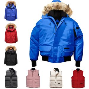 ganzenveren donsjack puffer stoffen vest designer groen heren dames grijs dames plus size turn down running kraag jassen verdikte bontjas met capuchon groothandel