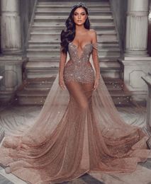 Gown Champagne Evening Illusion Sleeves V Neck Party Robes Prom Robes Sweep Train Formelle Long Robe pour OCN Special