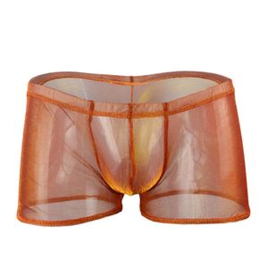 Gradiëntkleuren mannen s sexy ondergoed fijne mesh mannelijke boksers shorts transparante onderbroek grappig