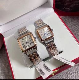 Dames van geweldige kwaliteit Dames Designer Polshipches Lovers 'AAA With Box Quartz Watchs No313
