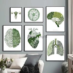 Groene abstracte geneeskunde anatomie hart long oog Nordic posters en prints muur canvas schilderij foto's voor kliniek decor HKD230829