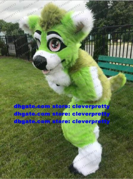 Vert longue fourrure fourrure loup mascotte Costume Husky chien renard Fursuit adulte personnage de dessin animé mignon adorable société activité zx3009