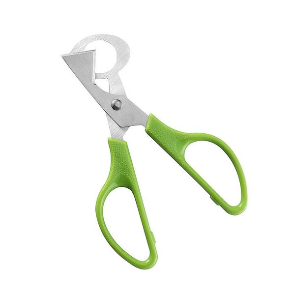 Utensile per aprire le uova in acciaio inossidabile verde, forbici per uova di quaglia, utensili da cucina per uso domestico, 14,2 cm T2I52197