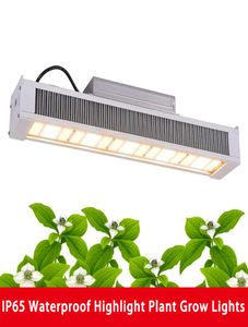 Invernadero Full Spectrum Cob Grow Lights 320 640W 301B Luz LED AC100277V Interior Toplight Hidroponía Vegetal Flor Planta Gro5947743