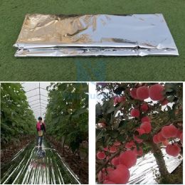 Serres 100 cm de largeur argent jardin légumes membrane verger pommiers plantes couleur paillage serre double face Mylar film réflexe