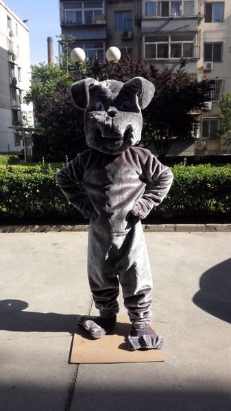 Costume de mascotte de bouledogue gris, costume de chien de taureau, personnalisé, personnage de dessin animé, déguisement, thème de carnaval, anime 41186