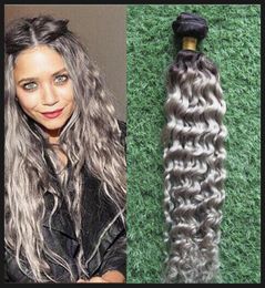 Paquets de cheveux gris pneose gris 100 paquets de cheveux humains 1pc naturel non remy ombre Grey Hair Weave12155522576818