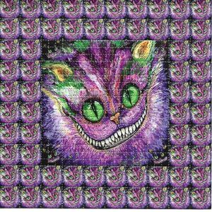 Grinning Cat Psychedelic Acid-Free Blotter Art Flower Abstract Decoration Painting Wall Picture Home Decor Poster Printing L230704