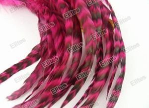 Extension de cheveux en plumes de coq Grizzly 100 pièces Extensions de plumes 1 aiguille 200 perles GRF001 48851404