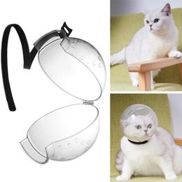 Toilettage 1PC Cat Space Hood Transparent Safety Antibite Antick Wound Bathing Cut Nail Headgear Cat Grooming Mask Pet Accessoires