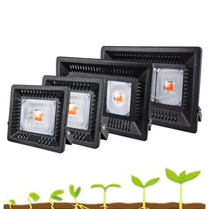 Lampe horticole de croissance LED COB, 100/200/300W, étanche IP67, spectre complet, éclairage pour serre hydroponique intérieure, scène de floraison de légumes