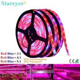 Grow Lights 1 Roll SMD 5050 5m LED Strip Light Full Spectrum LED Flower Plant Phyto Growth Lamp For Greenhouse Hydroponic Plant Cultiver P230413