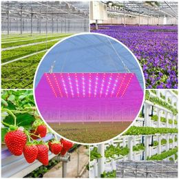 Grow Lights 1000W FL Spectrum LED Plantes Lumières 220 V Éclairage de croissance des fleurs 1500W Phytolampes pour semis Lampes Fito Tente hydroponique DHPQC