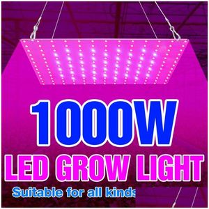 Cultivez des lumières 1000W FL Spectrum LED Plantes Lumière 220V Éclairage de croissance de fleurs 1500W Phytolampes pour semis Lampes Fito Tente hydroponique Dhvoy