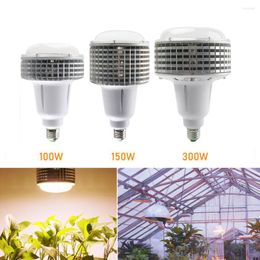 Grow Lights 100W Full Spectrum Plant Carpa Warm Lamp Bulb LED Light para invernadero interior Semillas de flores vegetales Cultivo