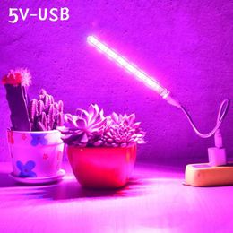 GROEP LICHTEN 10W LED GROW LICHT USB Draagbare LED -Plant Grow Licht DC5V Volledig spectrum PHYTO LAMP 21 LEDS Rotatie Flexibel licht Indoor P230413