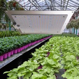 Kweeklampen 12W LED Plant Lamp roodblauw vierkant Volledig spectrum Licht binnen voor tuinieren Groenten Tent