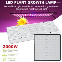 Grow Lights 1PCS Plant Spectral Growth Lampe Suspended Indoor Planting Momening Hydroponic supplémentaire Light
