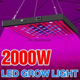 Kweeklampen 2000 W LED-plantengroeilicht 3000 W Phytolamps voor zaailingen Lamp 220 V Quantum Board Indoor Groeitent Box Fitolampy US EU UK Plug YQ230926 YQ230926