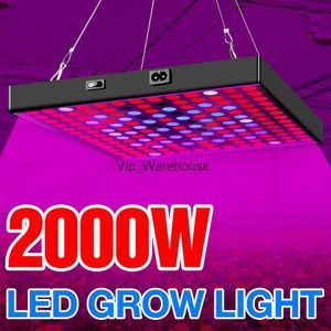 Lampes de culture 2000W LED plante poussent la lumière 3000W phytolampes pour semis ampoule 220V panneau quantique intérieur croissance tente boîte Fitolampy US EU UK Plug YQ230926 YQ230926