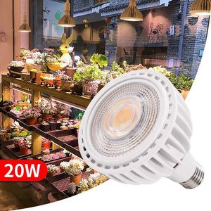 GROEP LICHTEN 20W 30W 40W PLANT GROEI LICHT LED Volledig spectrum 85-285V Zaailing Tent Tent LED Phyto Lamp Hydroponics LED-lamp E27 Fito Lampara P230413