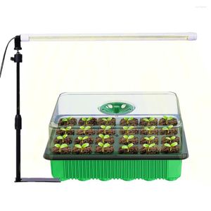 Kweeklichten 20W plantlamp LED -licht voor binnenplanten Volledig spectrum met stand zaad beginnende tuinieren bloemen