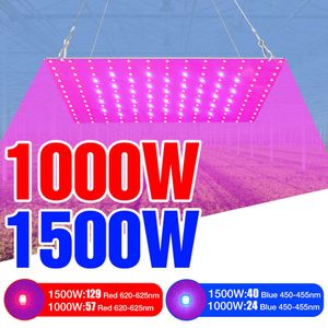 Grow Lights 220V Full Spectrum LED Plant Growth Light 1000W Phytolamps Pour Semis Quantum Board 1500W Fito Lamps Hydroponic Grow Tent Box P230413