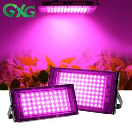 Grow Lights 220V LED Grow Light Lámpara de planta de espectro completo Reflector Phytolamp para plantas Invernadero Semillas de carpa Hidropónico 50W / 100W / 200W / 300W P230413