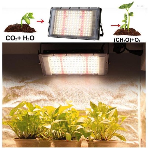 Grow Lights 220V LED PLANT LUMIÈRE SUMBRE SPECTRUM FULLE SPECTRUM PHYTO PHYTO lampe comme pour la croissance des graines de légumes en serre hydroponique C1